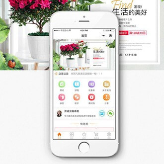 洮南门店微商城小程序开发