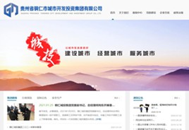 洮南城市开发投资集团有限公司