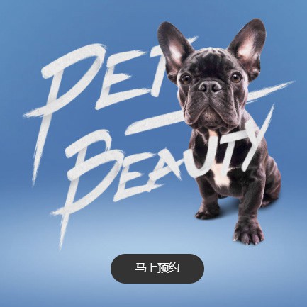 洮南宠物中心小程序开发